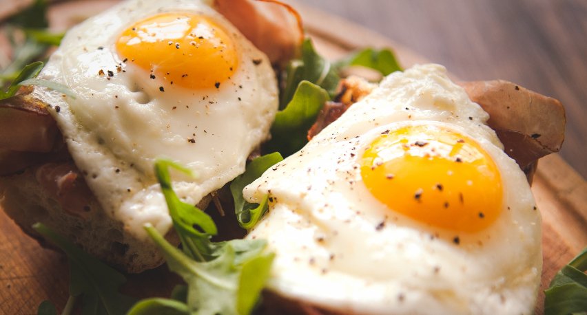 La guía completa sobre las proteínas